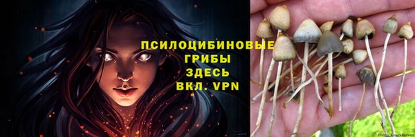МДПВ Киренск