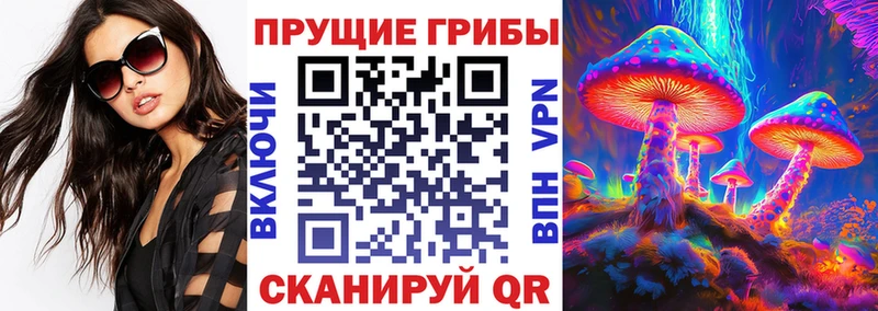 Купить где  Тогучин  Псилоцибиновые грибы мицелий 
